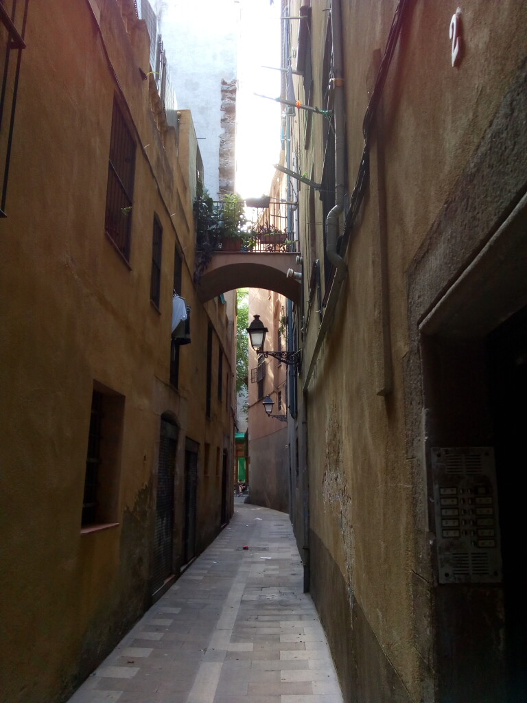 Carrer dels Ocells, prop de la plaça de Sant Pere, que podria haver estat l'escenari de l'assassinat de F. de P. Cuello.
